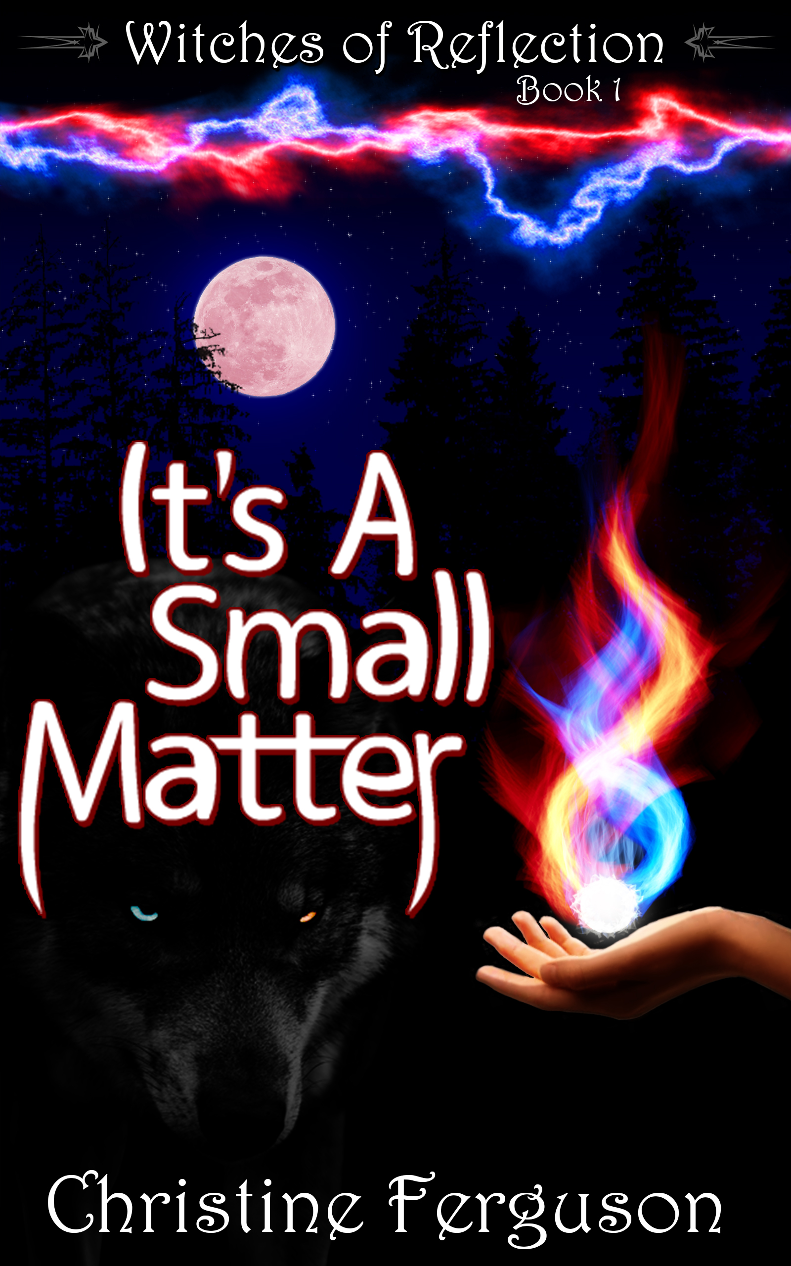 Werewolf Matters - Witches of Reflection Book 2